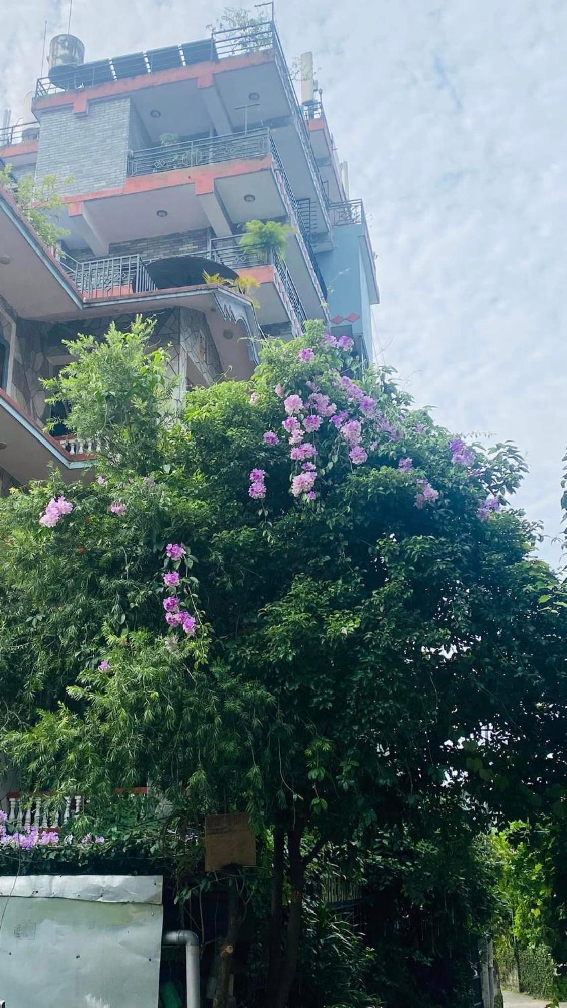 Hotel River Park Pokhara Luaran gambar